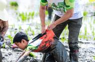 亲子下地插秧、田间搭灶做饭，还能在稻田里蛙泳……泥娃娃们，带着爸妈冲鸭