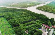 占地面积168亩！松江首个开放式休闲林地建成开放