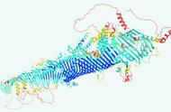 梦想成真：AI预测蛋白质结构