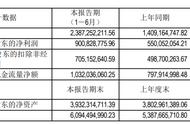 吉比特公布上半年财报：营收23.87亿元，同比增长69.41%