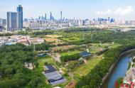 广州海珠有个全新都市农园，主打“生态 幸福”