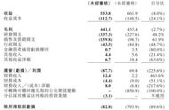 祖龙上半年营收5.5亿，期内亏损8583.5万，多个项目在研