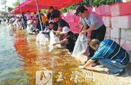 深度报道｜为野生动物撑起“保护伞”——玉溪市生物多样性保护纪实