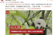 “滚滚”有新家了！大熊猫国家公园正式设立，7成以上区域在四川