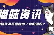 猫传腹将不再是绝症？真的假的？超详细预防攻略猫咪主人一定收好