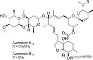 阿维菌素能杀夏季的大多数虫害，但为什么有人说越来越不好用了？