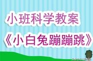 小班下学期科学教案《小白兔蹦蹦跳》含反思