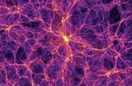 黏液霉菌与宇宙网极其相似，人类生活在巨大生物的细胞中？