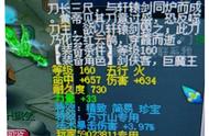 梦幻西游：全服蓝字最多的160武器，千伤 逆天5蓝字，史无前例