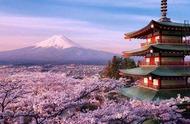 最美的季节遇见你——日本樱花祭全攻略
