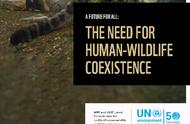 国际组织为减少人与野生动物冲突发起全球号召
