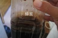 更新黑坑鲤鱼配方