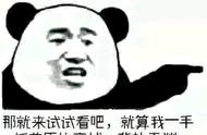 辰东小说中的经典语录