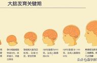 怎样使自己的智力超过爱因斯坦？人的大脑真的没有可开发余地吗？