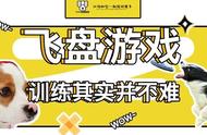 飞盘游戏并不难，本编教你怎么玩。