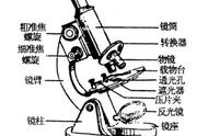 初中生命科学考试目标梳理