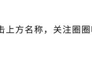 春日迟迟再出发：一档离异人士的交友节目，为何能让人感到治愈？