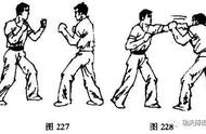 散打训练：拳法腿法组合实战教学