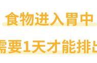 吃了就排的“直肠子”，能吸收营养吗？