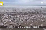 一半海水一半垃圾，巴厘岛“被毁容”的背后引人深思