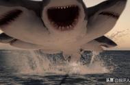 这部电影里的鲨鱼用头走路，导演的脑洞真是太大了！