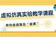 虚实结合！这些实验课上，你能像“打游戏”一样模拟环境变化，还能在线“解剖”大脑