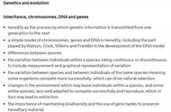 从达尔文的生物进化论开始，掌握国际初中生物最难学的遗传与进化