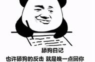 舔狗日记，那么搞笑又那么悲伤，笑着笑着就哭了