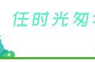 地理环境最好的两座岛屿，崛起了两个国家，经济都非常发达