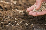 「BG种田」星际、末日、荒野种田