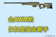 会AWM是狙击新手，会Mini14是狙击高手，狙击大神会什么？