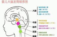 孩子3岁前，父母做好5方面工作，让孩子更聪明，真正赢在起跑线