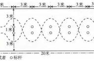 新中考体育——篮球满分攻略及训练技巧