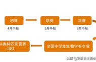 科普｜高一高二解惑，生物奥赛都考什么，竞赛流程如何？