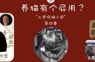 养猫有个屁用？你养猫到底是为了什么？