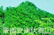 黄镇山：陕南安康伏羲山下太极城