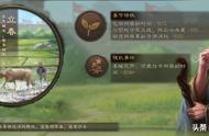 三国志战略版：S5赛季装X指南，开荒不是一成不变，需要因地制宜