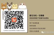 通风管小猫救援记，智商、耐心加运气