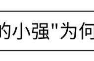 蟑螂总是来了又来！送你一份除蟑螂手册，总有一招奏效