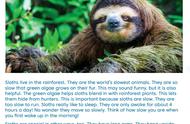 英语原版文章：Slothes