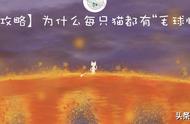 「养猫攻略」为什么每只猫都有“毛球性胃炎”