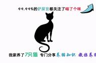 新手养猫是选择宠物店购买还是家庭繁殖？一篇文章教你怎么不被坑