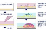 AID ELISPOT 酶联免疫斑点分析仪