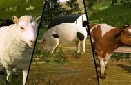 十年坚持只因热爱《模拟农场20》书写农场游戏进化史