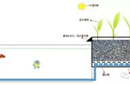 家庭养鱼-新方法鱼缸 阳台 花园-三合一方法沼泽过滤