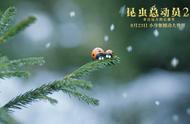 《昆虫总动员2》推广曲及MV上线8月23日化身最萌勇敢冒险家