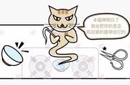 玄学找猫的“剪刀大法”“野猫帮忙法”你知道多少？