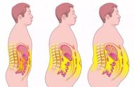 什么状态下人体可以先消耗脂肪？怎样科学快速消耗能量？
