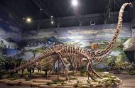 「桌游推荐」考古震惊世纪，追寻恐龙足迹——《化石之旅》