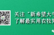 猪场批次化生产之5周批和36天批生产模式对比